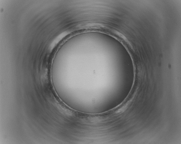 X0000074311066200609081936