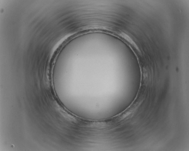 X0000074311068200609081936