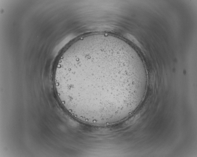 X0000074311071200609081936