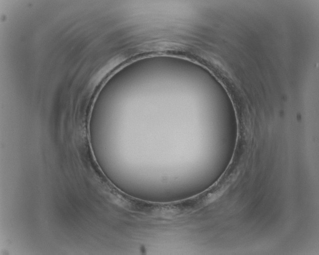 X0000074311073200609081936