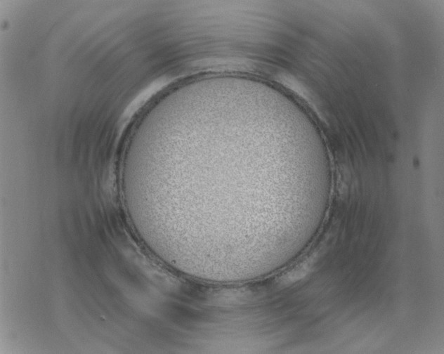 X0000074311074200609081936