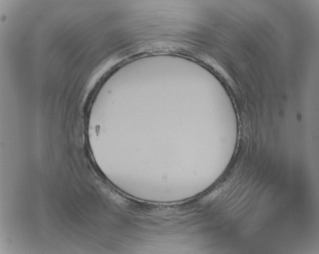 X0000074311075200609081936