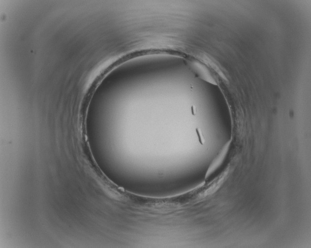 X0000074311077200609081936