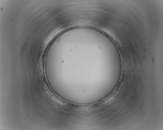 X0000074311078200609081936