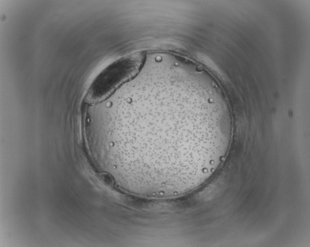 X0000074311079200609081936