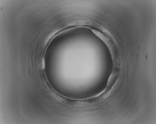 X0000074311081200609081936