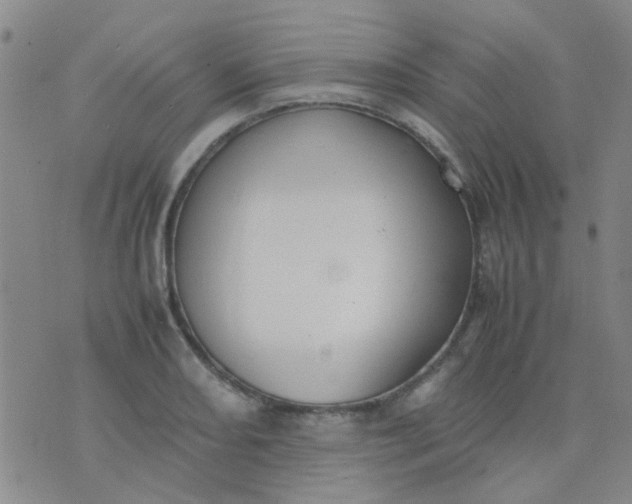 X0000074311082200609081936