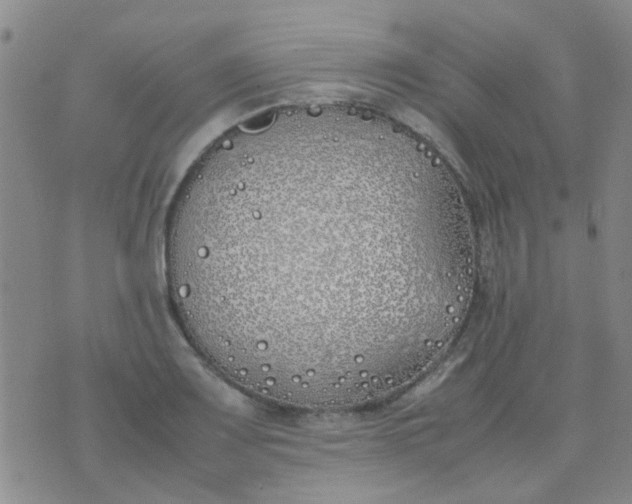 X0000074311083200609081936