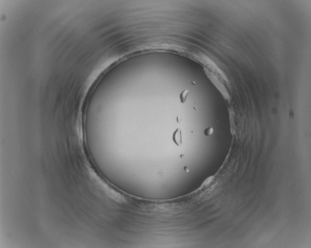 X0000074311084200609081936