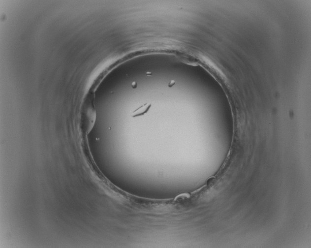 X0000074311085200609081936