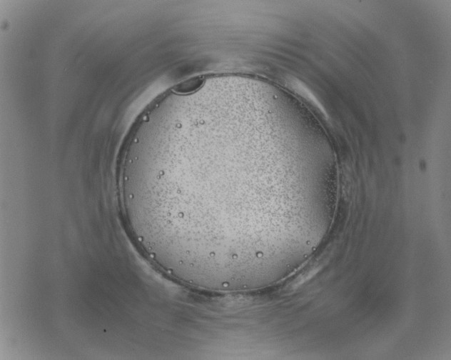 X0000074311087200609081936