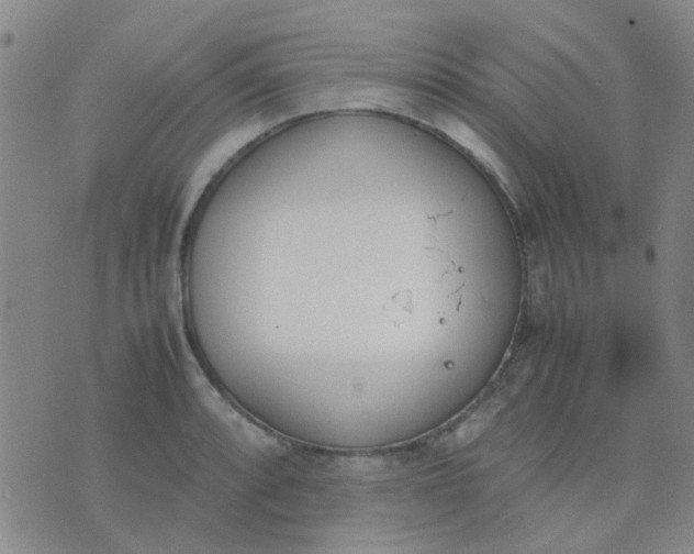 X0000074311088200609081936