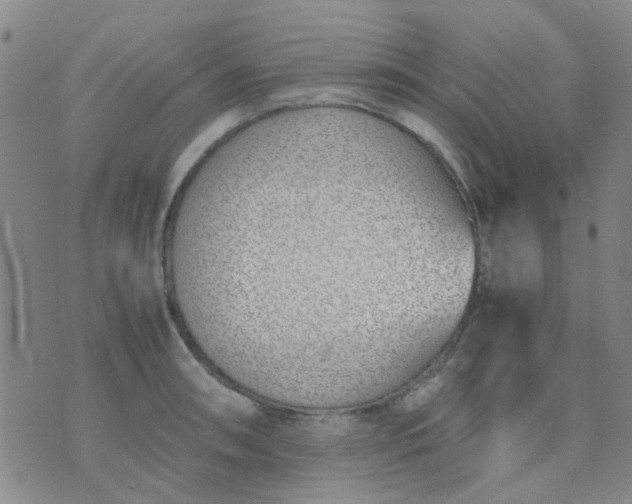 X0000074311090200609081936