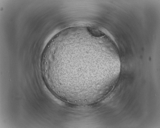 X0000074311091200609081936