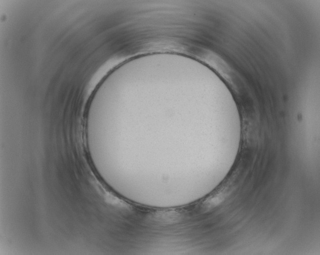 X0000074311094200609081936