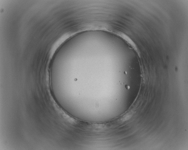 X0000074311096200609081936