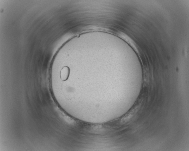 X0000074311098200609081936