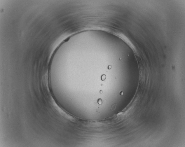 X0000074311100200609081936