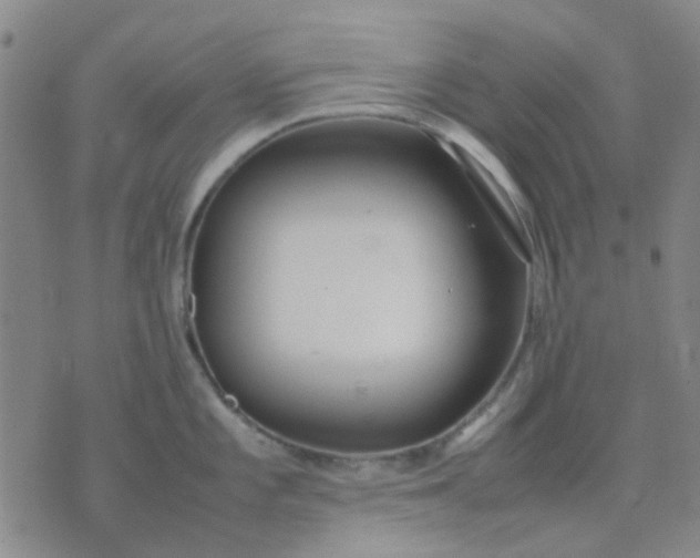 X0000074311101200609081936