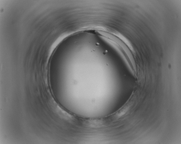 X0000074311102200609081936