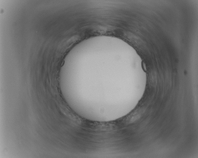 X0000074311105200609081935