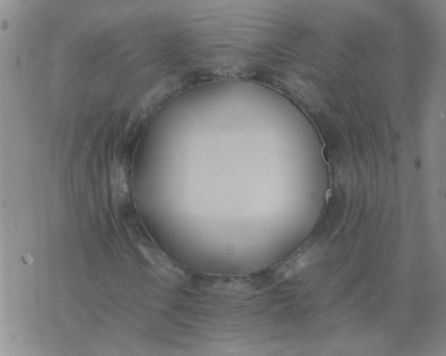 X0000074311106200609081935