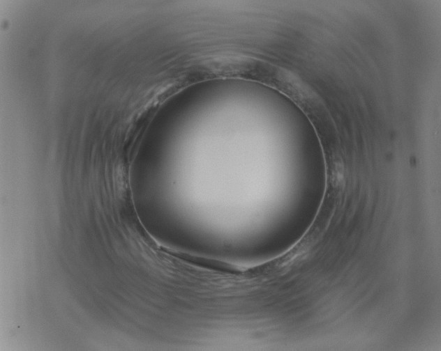 X0000074311108200609081935