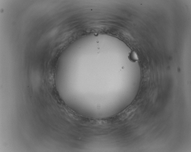 X0000074311109200609081935