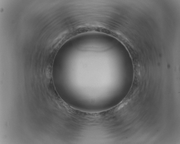 X0000074311110200609081935