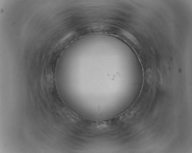 X0000074311111200609081935