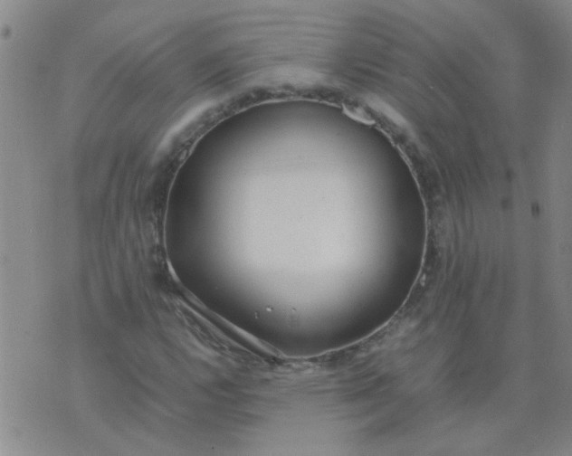 X0000074311112200609081935