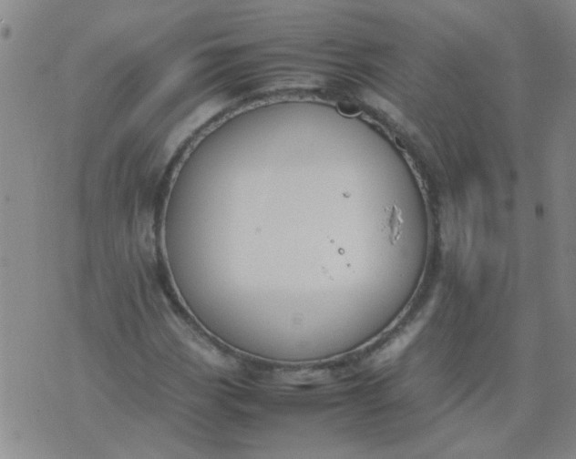 X0000074311113200609081935