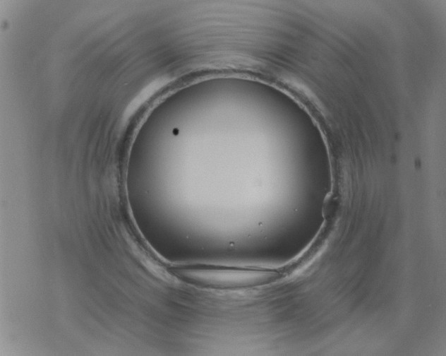 X0000074311114200609081935