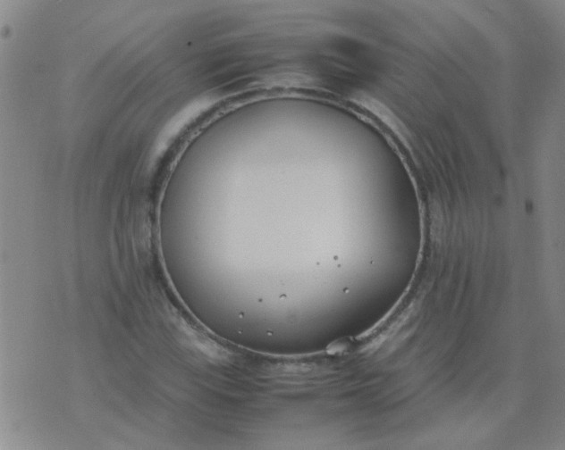 X0000074311115200609081935