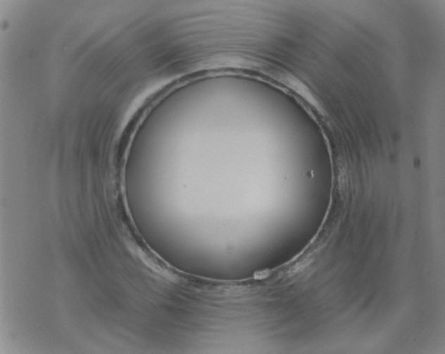 X0000074311116200609081935