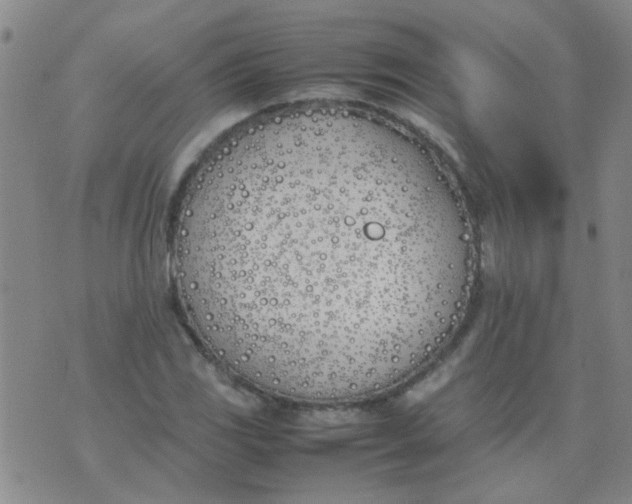 X0000074311117200609081935