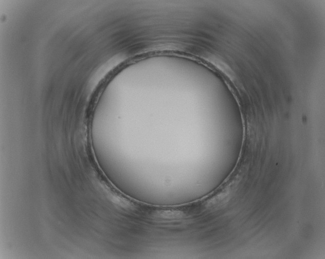 X0000074311119200609081935