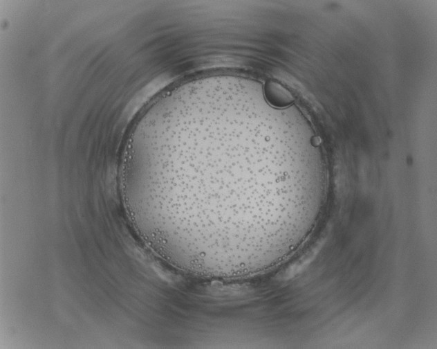 X0000074311121200609081935