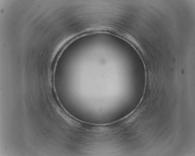 X0000074311124200609081935