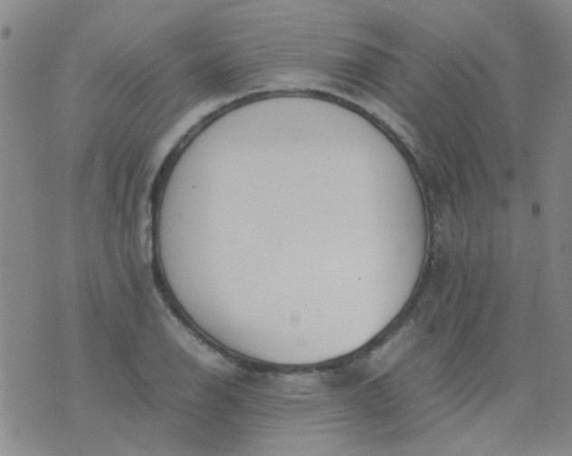 X0000074311126200609081935