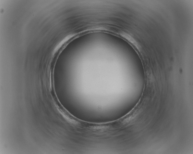 X0000074311127200609081935