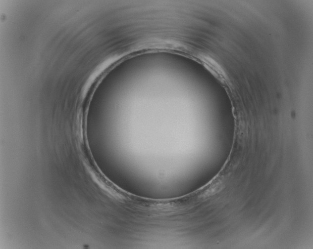 X0000074311128200609081935