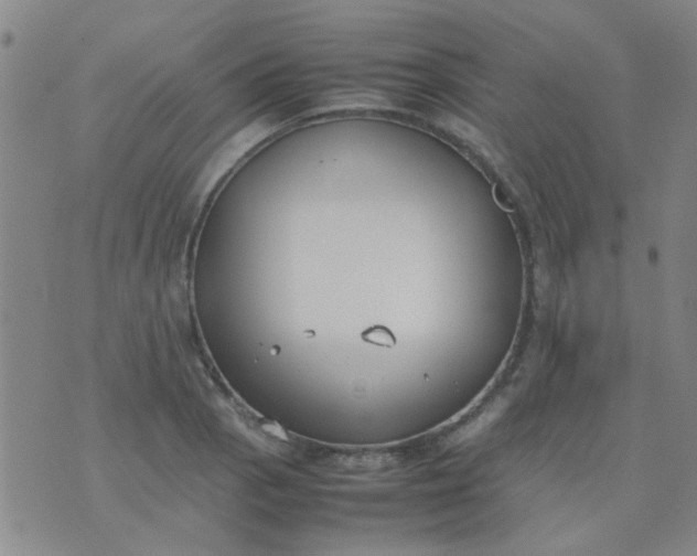 X0000074311129200609081935