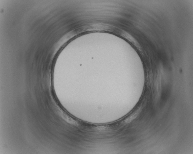 X0000074311130200609081935