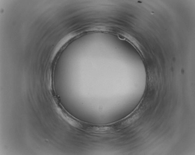 X0000074311131200609081935