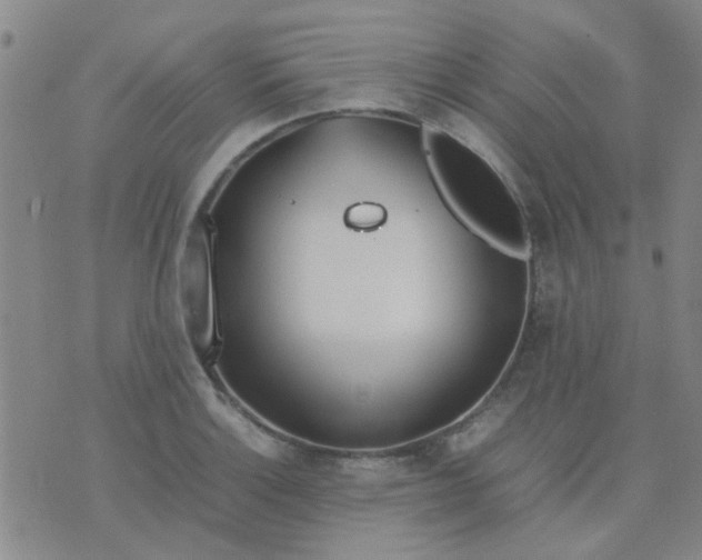 X0000074311132200609081935