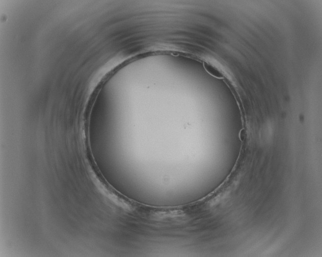 X0000074311133200609081935