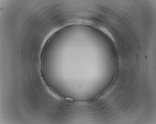 X0000074311136200609081935