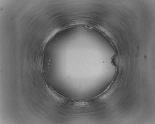 X0000074311137200609081935