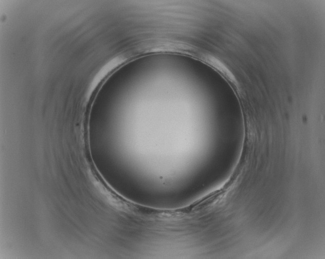 X0000074311138200609081935